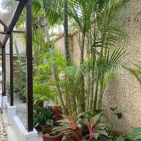 Modern In Laguito *